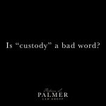 Is "custody" a bad word?