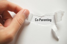 coparent parallel parenting